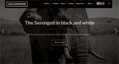 Desktop Screenshot of lolaakinmade.com